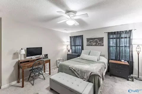 Bedroom - 43 Terry Ln, Trinity, AL 35673 photo 4 of 4