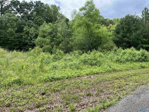 lot Apt 14 Country Cove Rd, Crossville, AL 35962