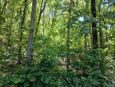 386 Creekview Dr, Rainbow City, AL 35906