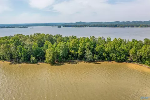 Ff Moneys Bend Road, Cedar Bluff, AL 35960