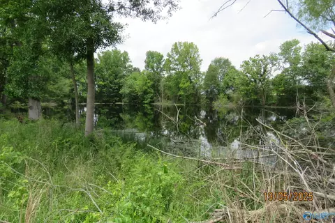 18 56 Acres New Clear Creek Rd, Boaz, AL 35957