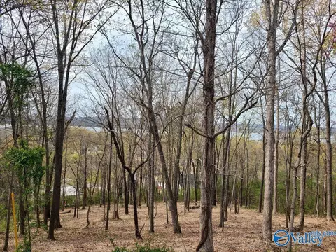 lot4 Creek Cir, Guntersville, AL 35976