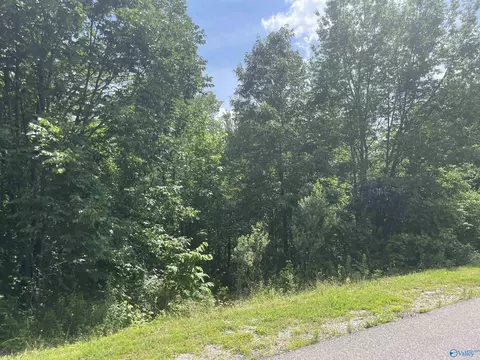 lot1 Meadow Creek Rd, Glencoe, AL 35905