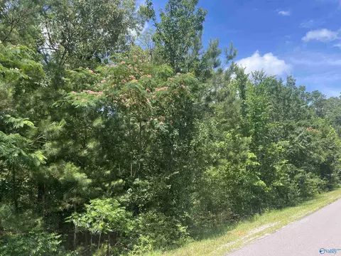 lot2 Meadow Creek Rd, Glencoe, AL 35905