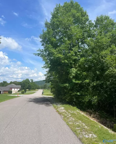 lot3 Meadow Creek Rd, Glencoe, AL 35905