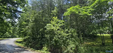 3 Acres County Road 106, Mentone, AL 35984