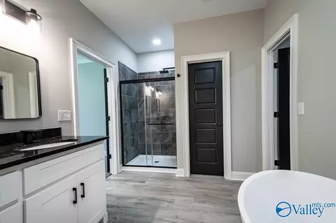 Bath - 95 Hawthorn Way, Trinity, AL 35673 photo 2 of 4
