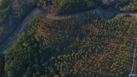 3 6 Acres County Road 155, Centre, AL 35960