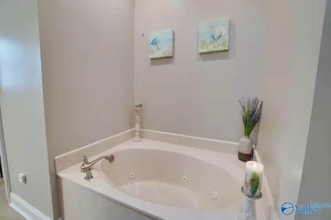 709 Chambers Rd, Arab, AL 35016 photo 23