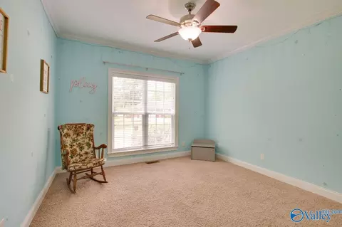 709 Chambers Rd, Arab, AL 35016 photo 28