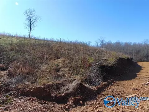 341 County Road 342, Killen, AL 35645 photo 9