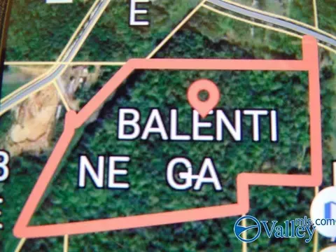 341 County Road 342, Killen, AL 35645 photo 16
