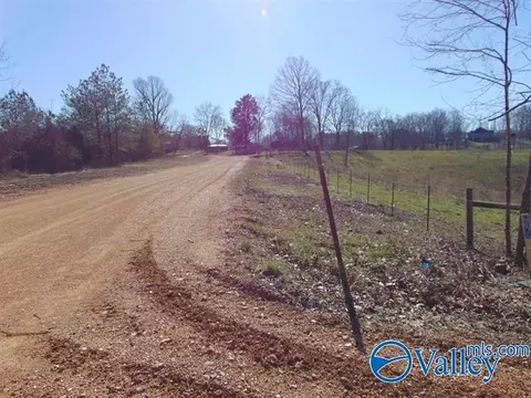 341 County Road 342, Killen, AL 35645 photo 3