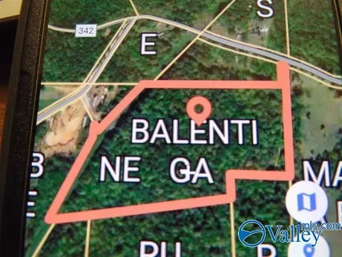 341 County Road 342, Killen, AL 35645 photo 15