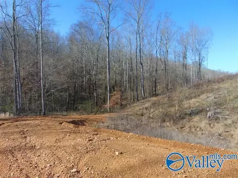 341 County Road 342, Killen, AL 35645 photo 10