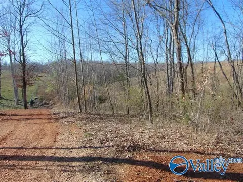 341 County Road 342, Killen, AL 35645 photo 4