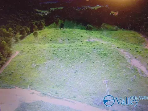 341 County Road 342, Killen, AL 35645 photo 18