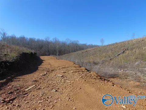 341 County Road 342, Killen, AL 35645 photo 8