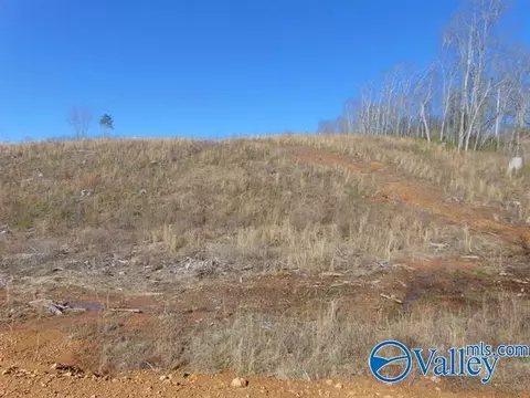 341 County Road 342, Killen, AL 35645 photo 6
