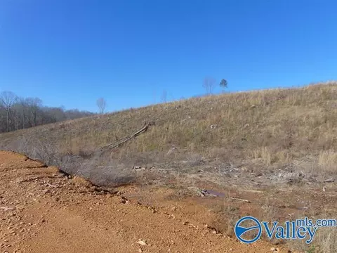 341 County Road 342, Killen, AL 35645 photo 7