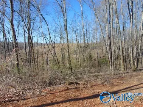 341 County Road 342, Killen, AL 35645 photo 5