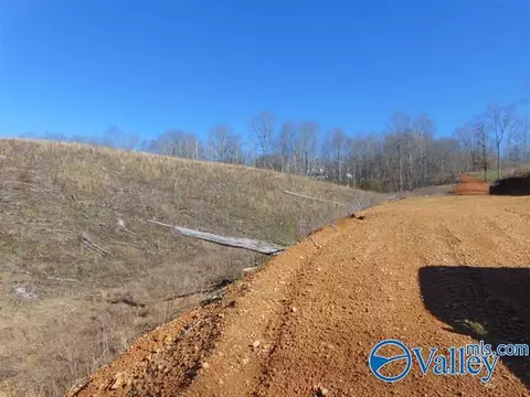 341 County Road 342, Killen, AL 35645 photo 13