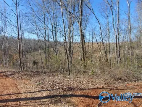 341 County Road 342, Killen, AL 35645 photo 1