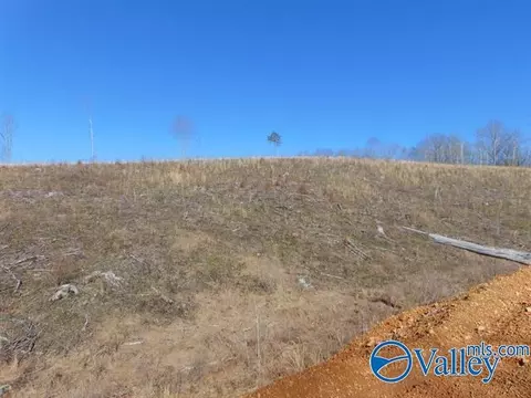 341 County Road 342, Killen, AL 35645 photo 12