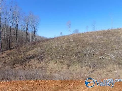 341 County Road 342, Killen, AL 35645 photo 11