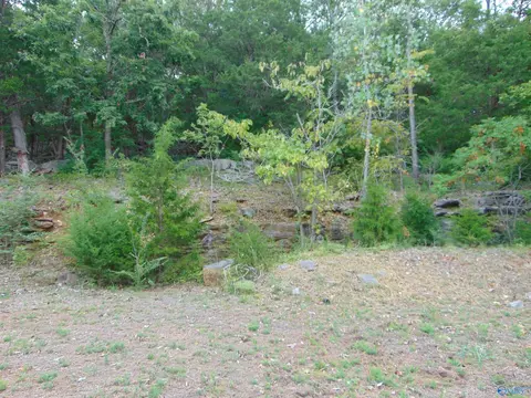 7739 SE Donegal Dr, Huntsville, AL 35802