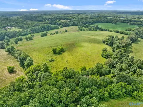 33091 County Road 8, Killen, AL 35645 photo 17