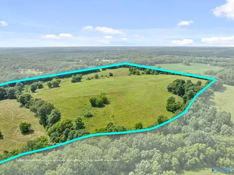 33091 County Road 8, Killen, AL 35645 photo 13