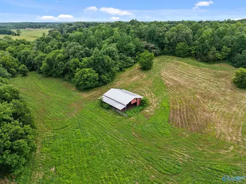 33091 County Road 8, Killen, AL 35645 photo 25
