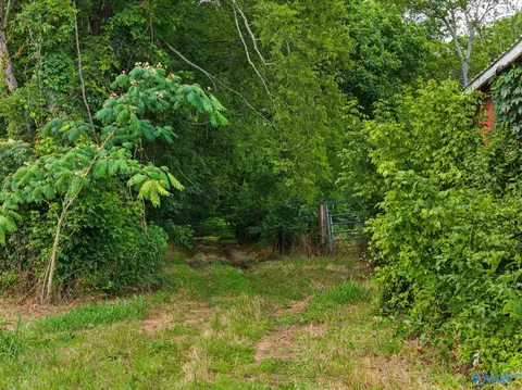 33091 County Road 8, Killen, AL 35645 photo 29