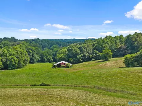 33091 County Road 8, Killen, AL 35645 photo 11