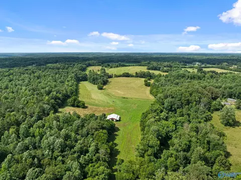 33091 County Road 8, Killen, AL 35645 photo 3