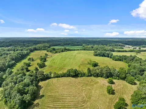 33091 County Road 8, Killen, AL 35645 photo 5