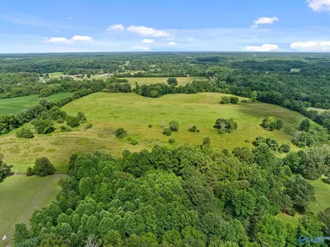33091 County Road 8, Killen, AL 35645 photo 16