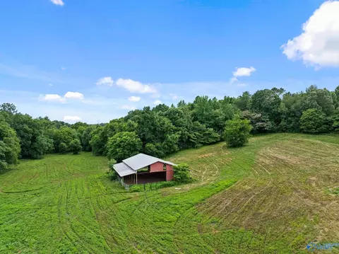 33091 County Road 8, Killen, AL 35645 photo 26