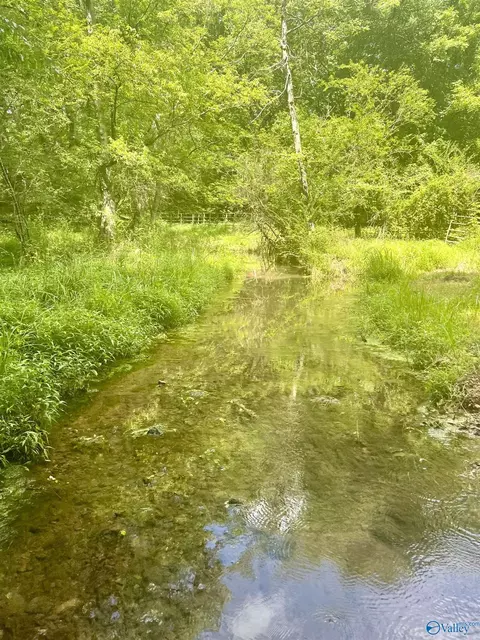 33091 County Road 8, Killen, AL 35645 photo 32