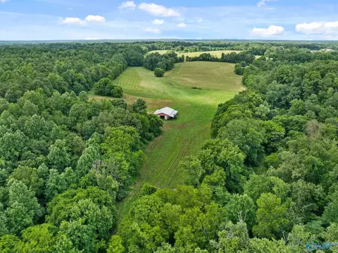 33091 County Road 8, Killen, AL 35645 photo 4