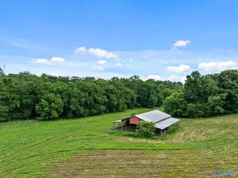 33091 County Road 8, Killen, AL 35645 photo 27