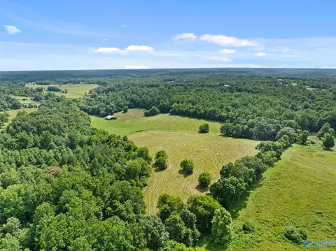 33091 County Road 8, Killen, AL 35645 photo 8