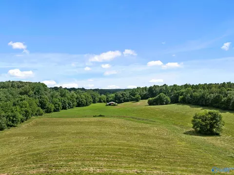 33091 County Road 8, Killen, AL 35645 photo 10