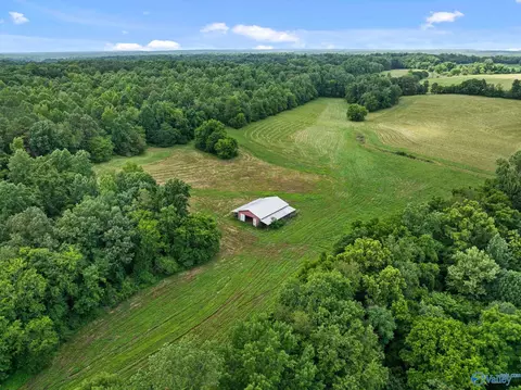 33091 County Road 8, Killen, AL 35645 photo 1