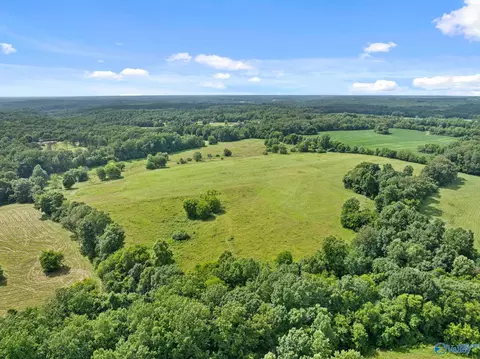 33091 County Road 8, Killen, AL 35645 photo 14