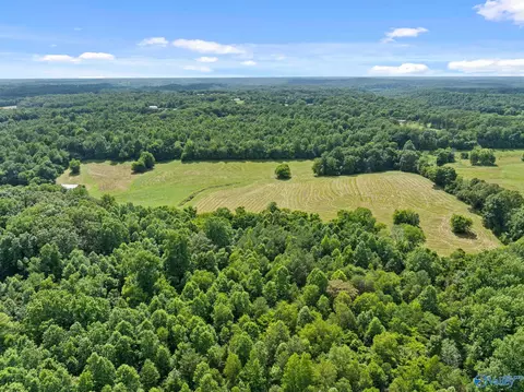 33091 County Road 8, Killen, AL 35645 photo 9