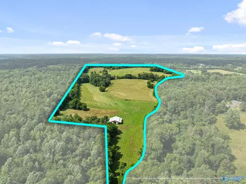 33091 County Road 8, Killen, AL 35645 photo 2