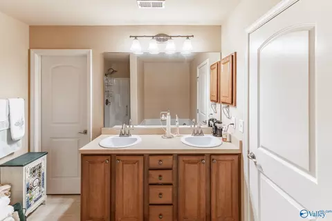 Other - 247 Fields Pond Dr, Madison, AL 35756 photo 3 of 5