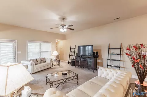 Other - 247 Fields Pond Dr, Madison, AL 35756 photo 1 of 5